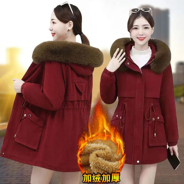 fleece-lined Thickened 2024 Winter New Cotton-padded Coat Wool Collar Waistline Slim-fit Warm Cotton-padded Coat Mid-length Pike Clothing Women's Trendy